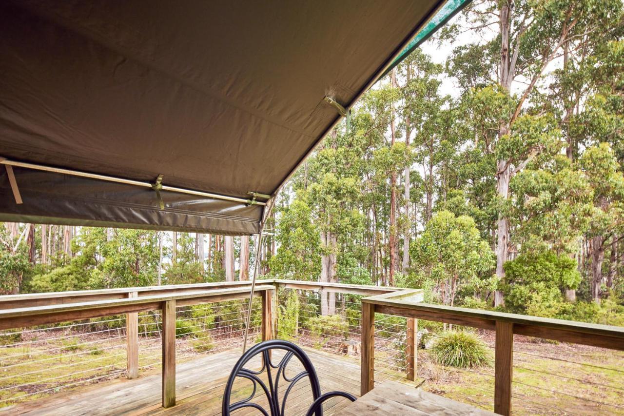 Nrma Port Arthur Holiday Park Bagian luar foto