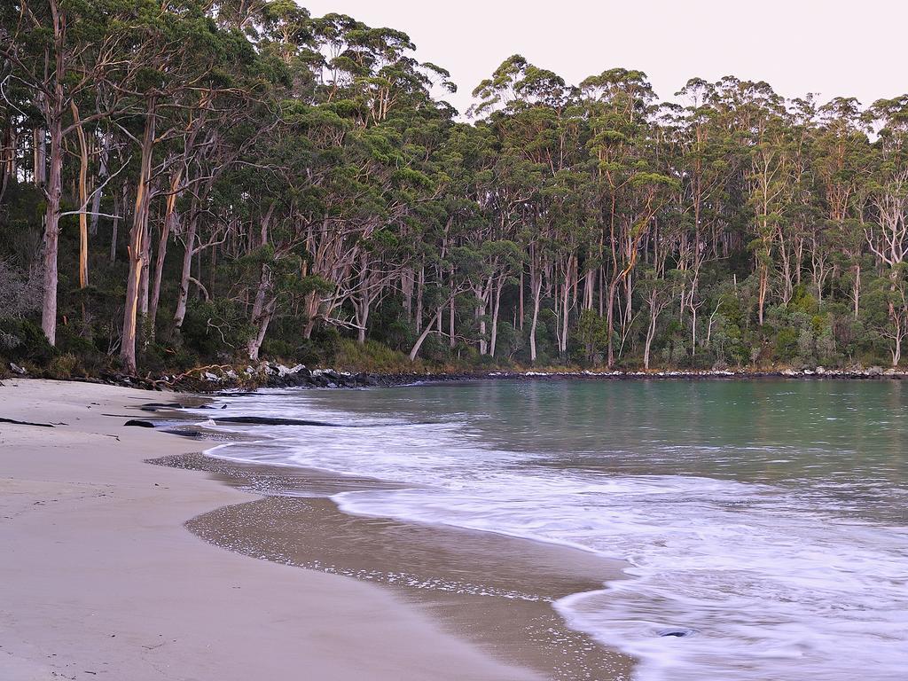 Nrma Port Arthur Holiday Park Bagian luar foto