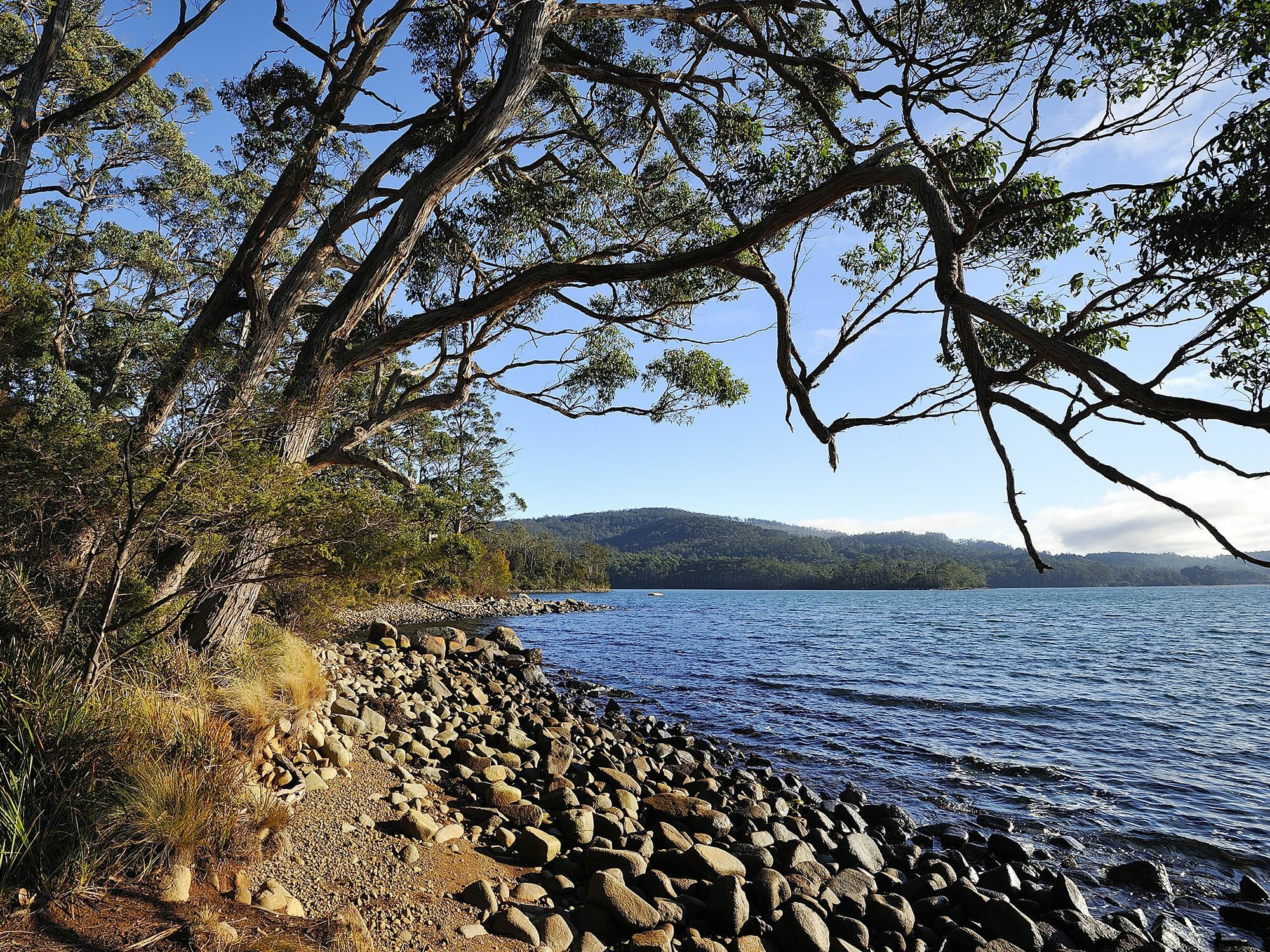 Nrma Port Arthur Holiday Park Bagian luar foto